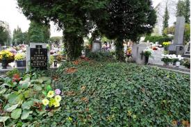 Cmentarz Komunalny w Cieszynie 02.11.2019  