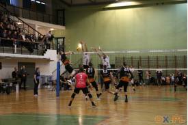 WOŚP: mecz siatkówki Jastrzębski Węgiel vs Black Volley Beskydy
