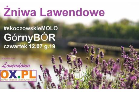 Skoczów stolicą Lawendy? 