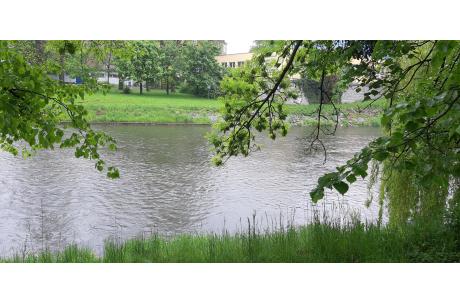 Olza Fot: JŚ