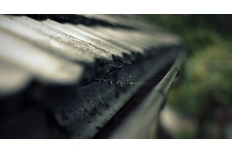 zdjęcie poglądowe /pixabay.com