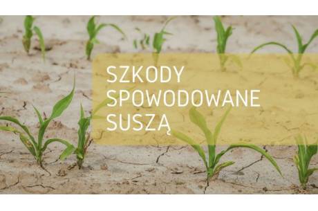 grafika udostępniona przez skoczowski urząd