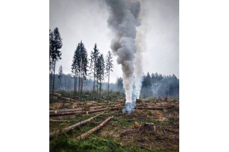 Foto. Jan Kajzar/ Nadleśnictwo Wisła