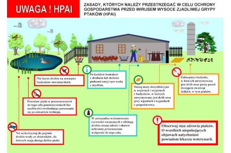 oficjalna infografika apelu