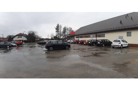 fot. JŚ