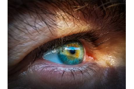 Fot: Pixabay.com