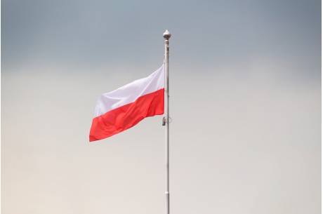 źródło: pixabay.com