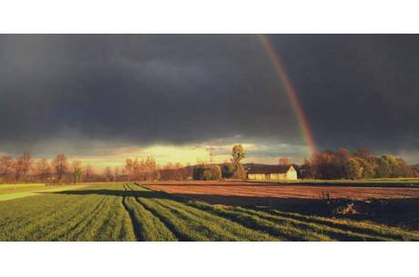 źródło: solectwozbytkow.pl