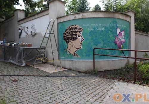 Nowe murale w Cieszynie / fot. MSZ